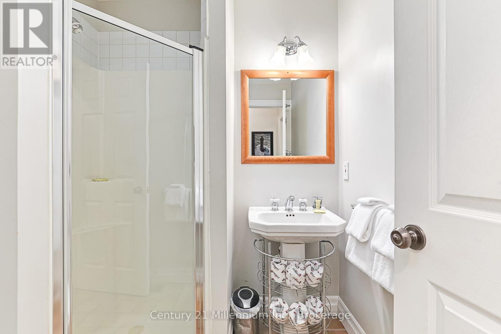 120 - 184 SNOWBRIDGE WAY Image 25