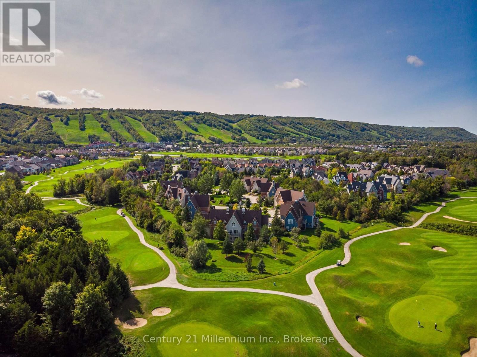 120 - 184 SNOWBRIDGE WAY Image 45