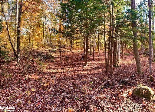 60 HAWKSVIEW LANE Image 17