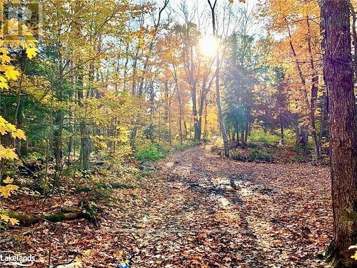 60 HAWKSVIEW LANE Image 18