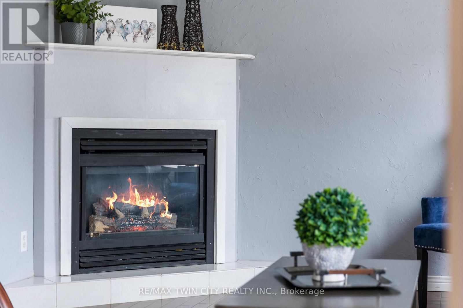 769 SCOTTSDALE DRIVE Image 7