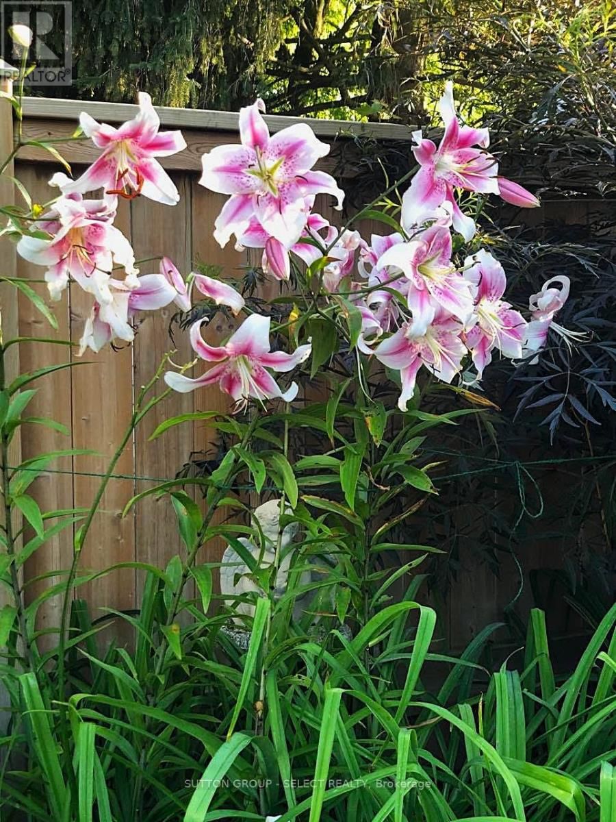 1054 CHIPPEWA DRIVE Image 30