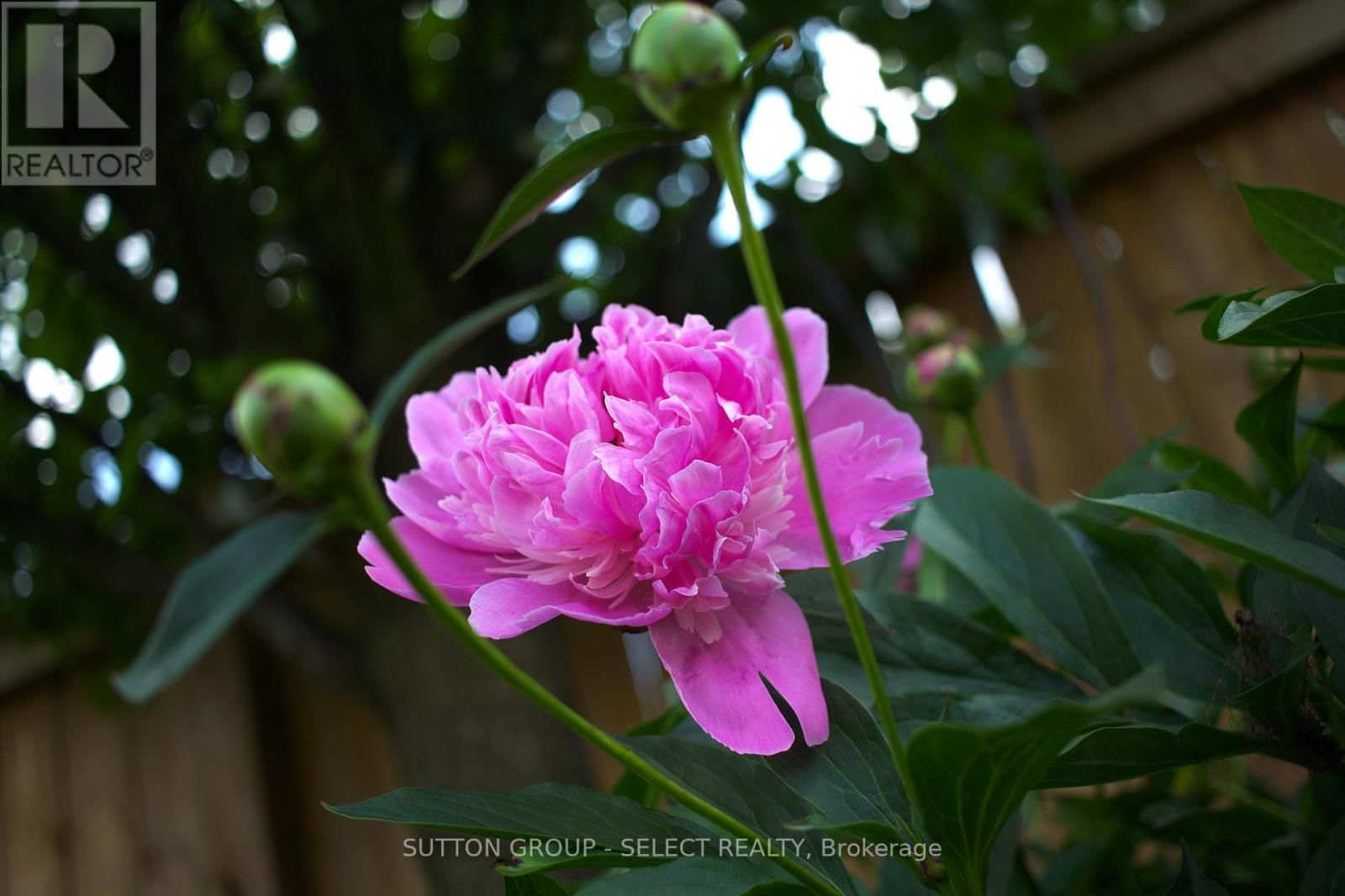 1054 CHIPPEWA DRIVE Image 31