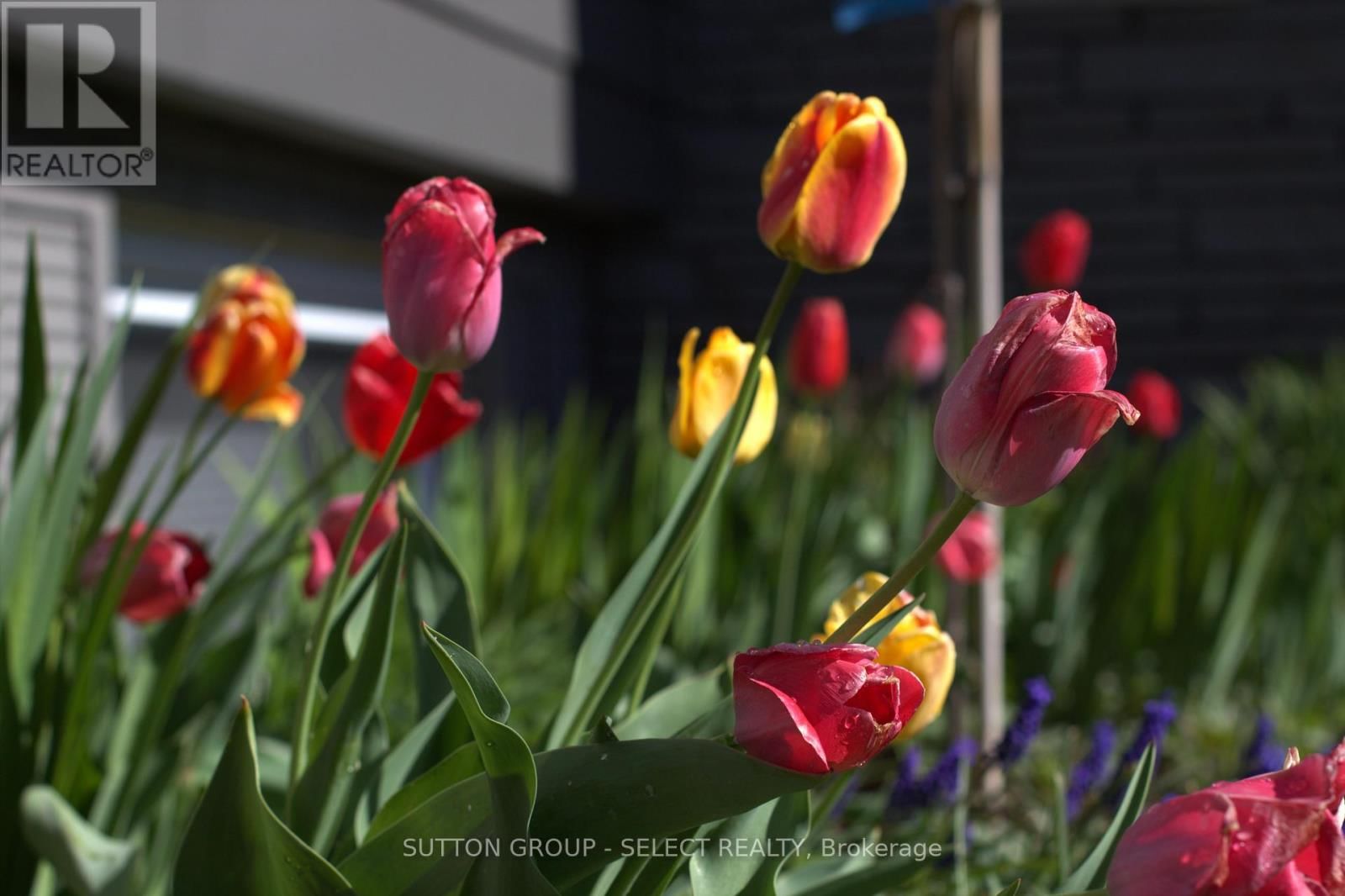 1054 CHIPPEWA DRIVE Image 32