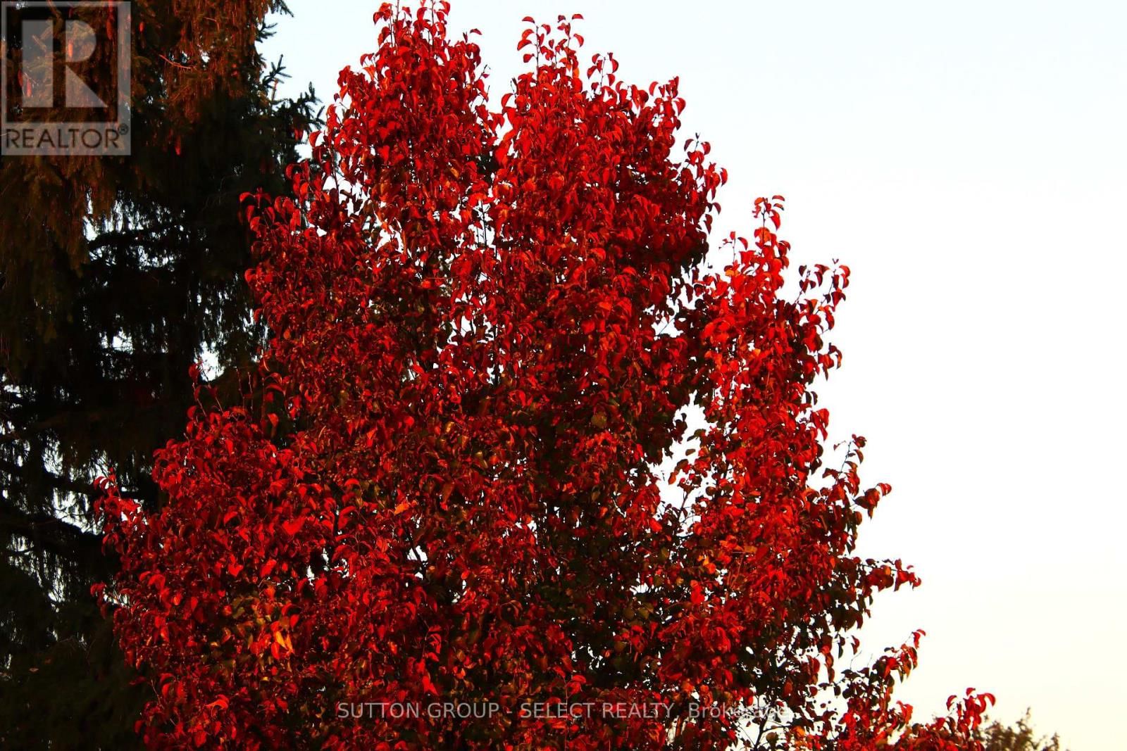 1054 CHIPPEWA DRIVE Image 34