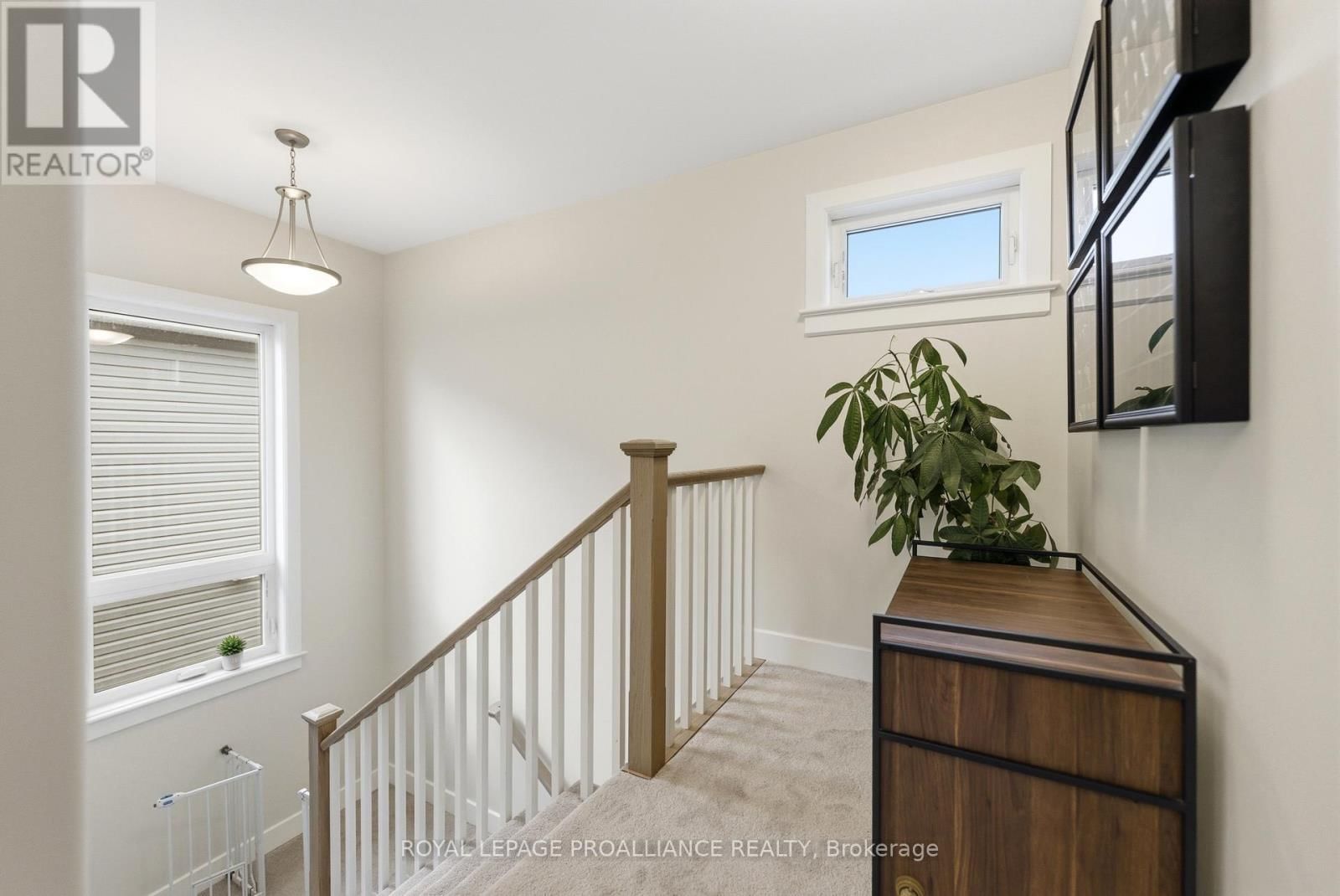 84 POTTER DRIVE Image 13