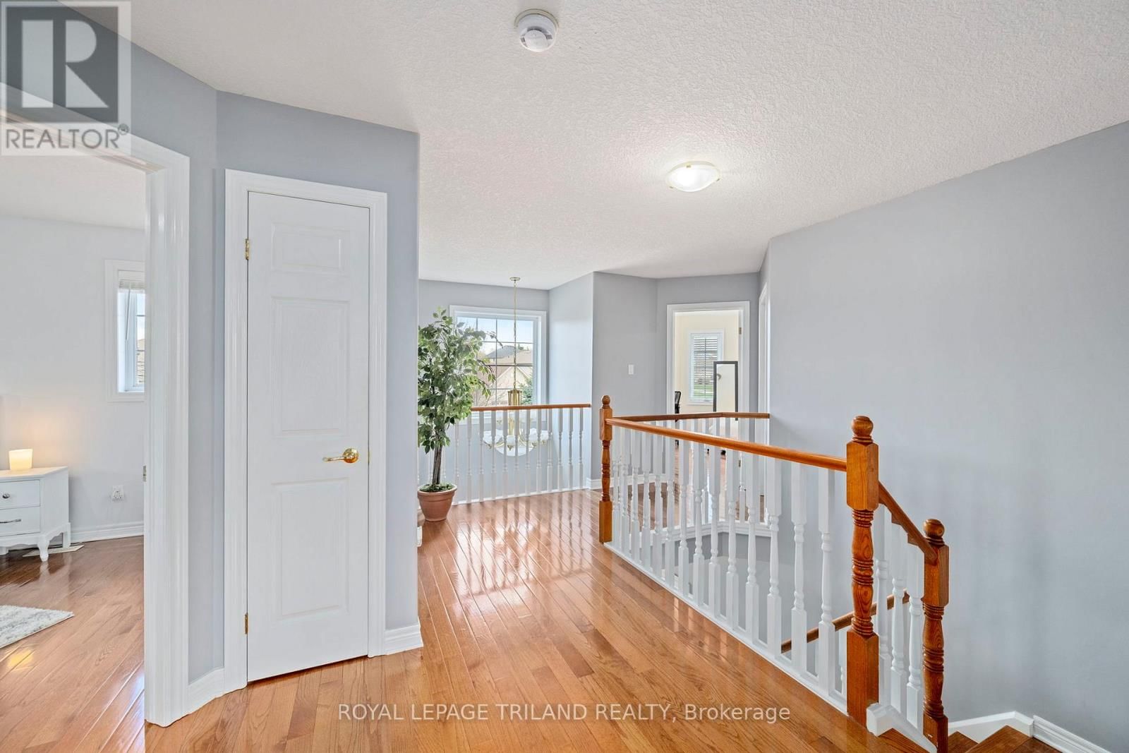 151 KNIGHTS BRIDGE ROAD Image 24