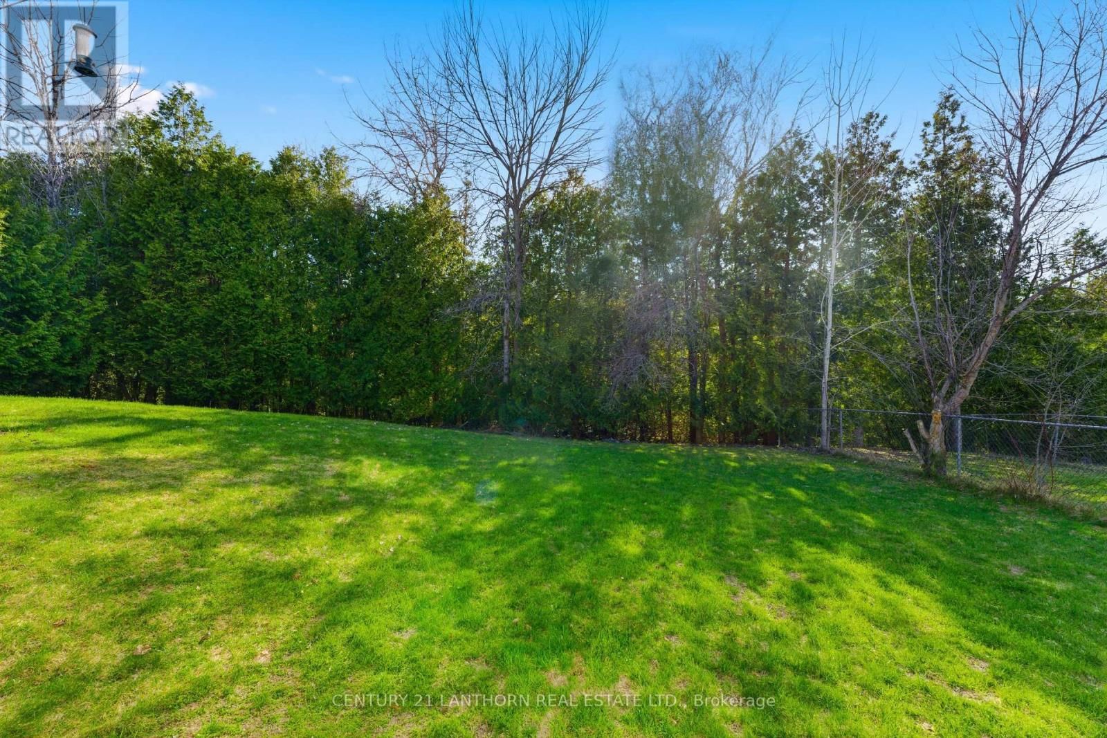 167 NICHOLAS STREET Image 36