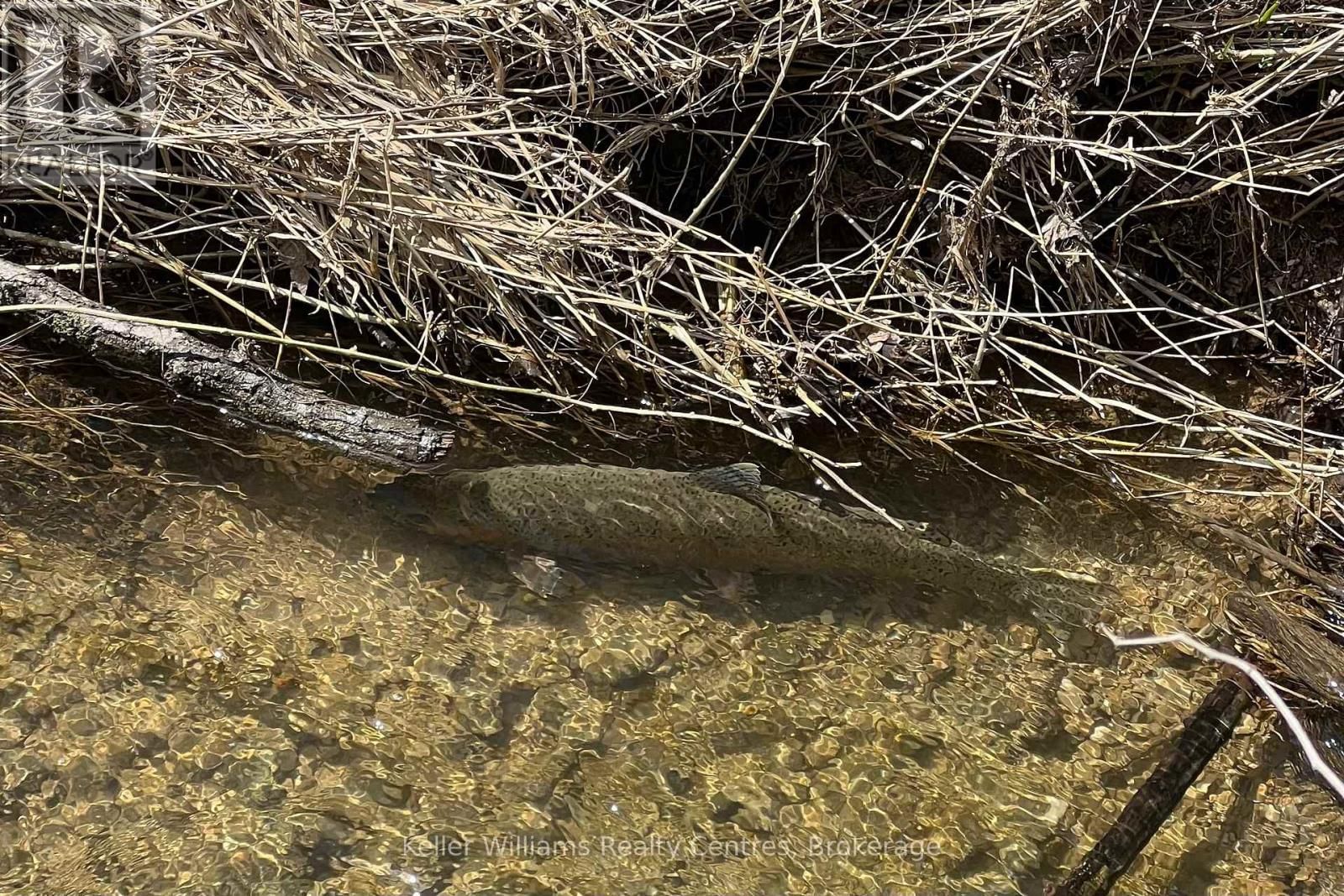 714 QUEEN STREET Image 34