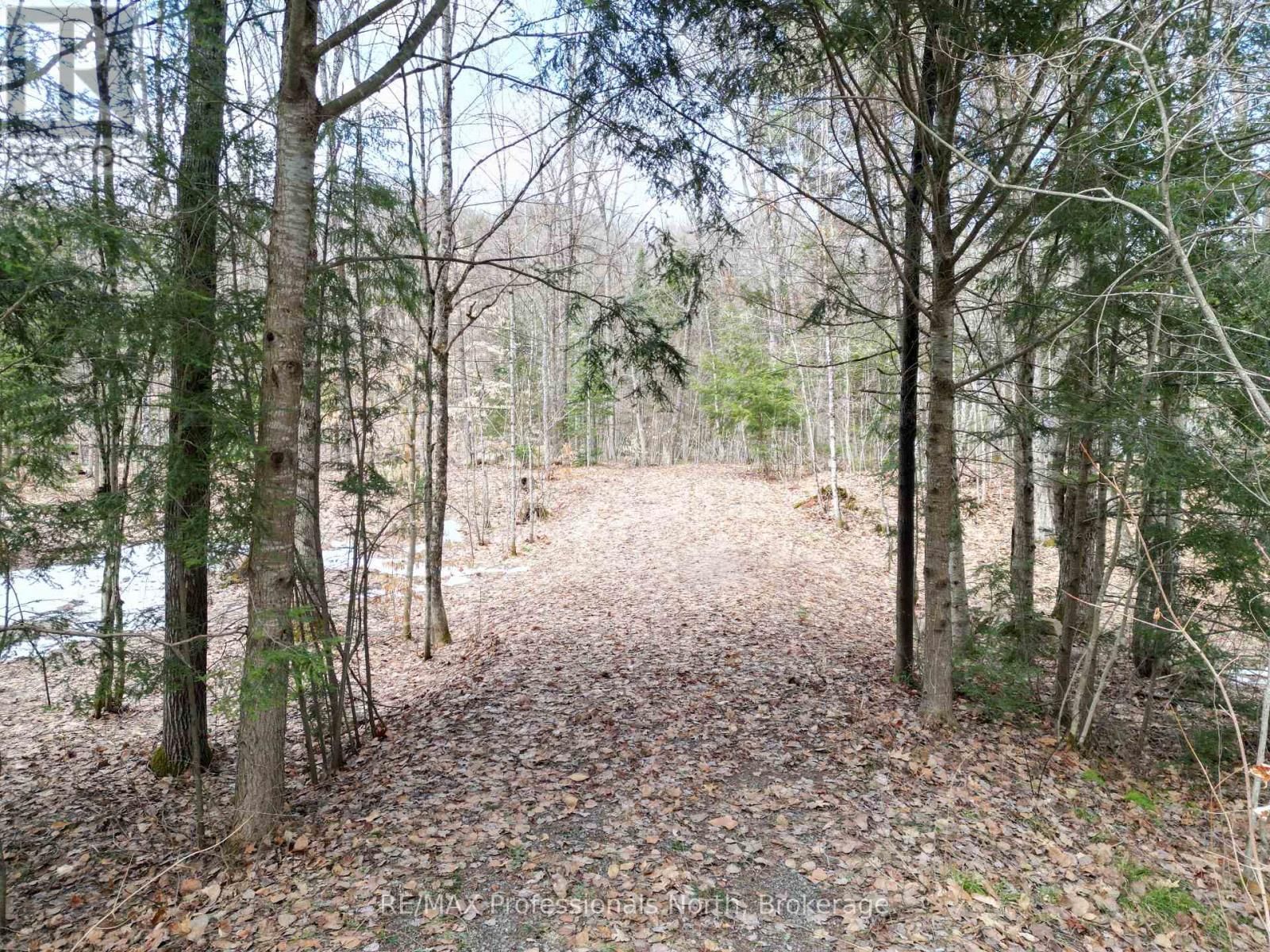 1231 BIG HAWK LAKE ROAD Image 1