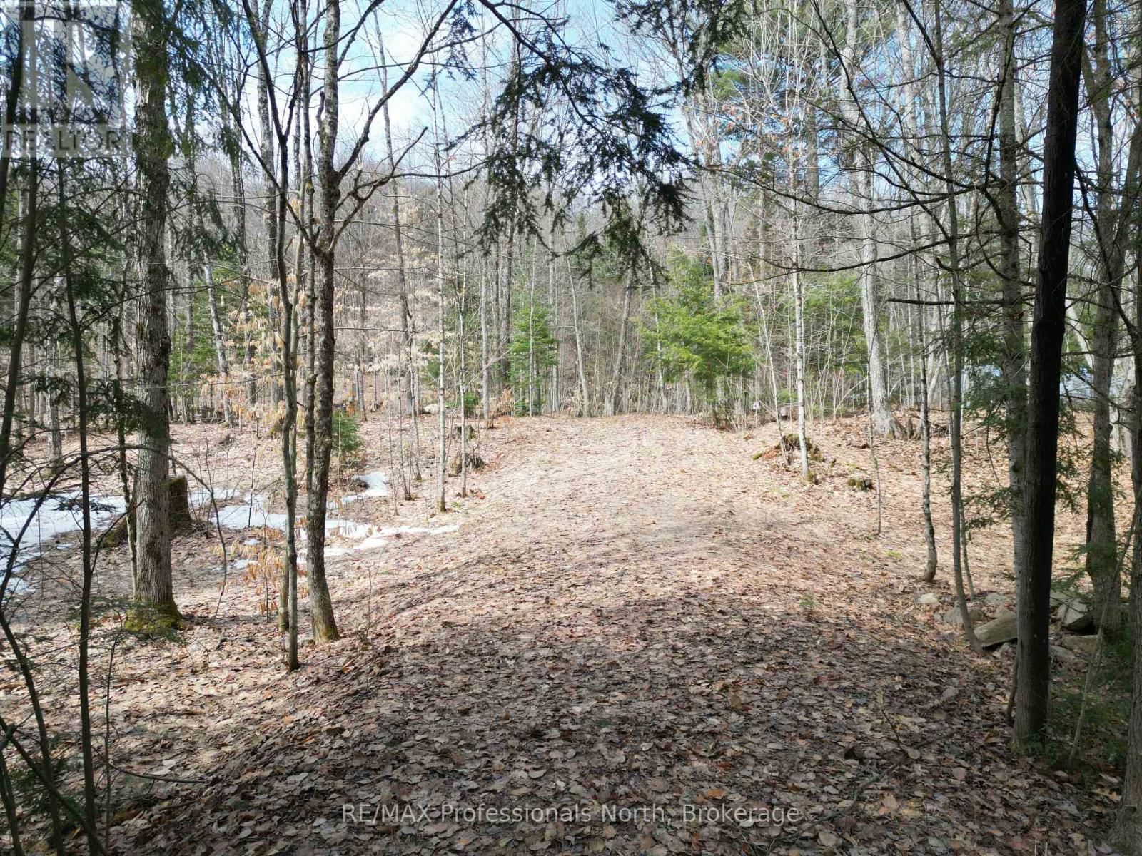 1231 BIG HAWK LAKE ROAD Image 2