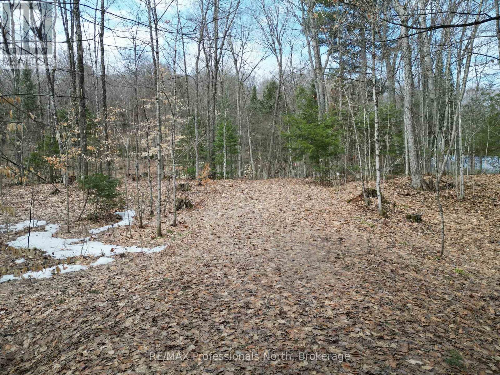 1231 BIG HAWK LAKE ROAD Image 3