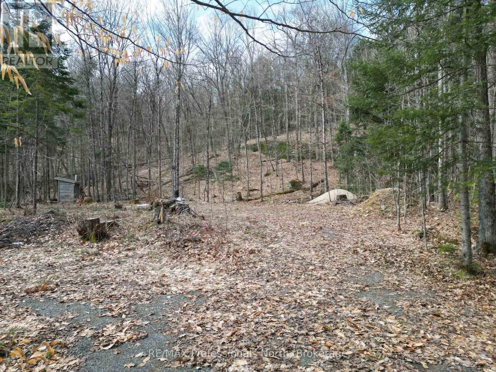 1231 BIG HAWK LAKE ROAD Image 5