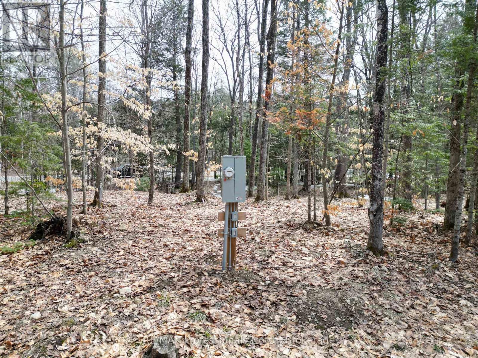 1231 BIG HAWK LAKE ROAD Image 6