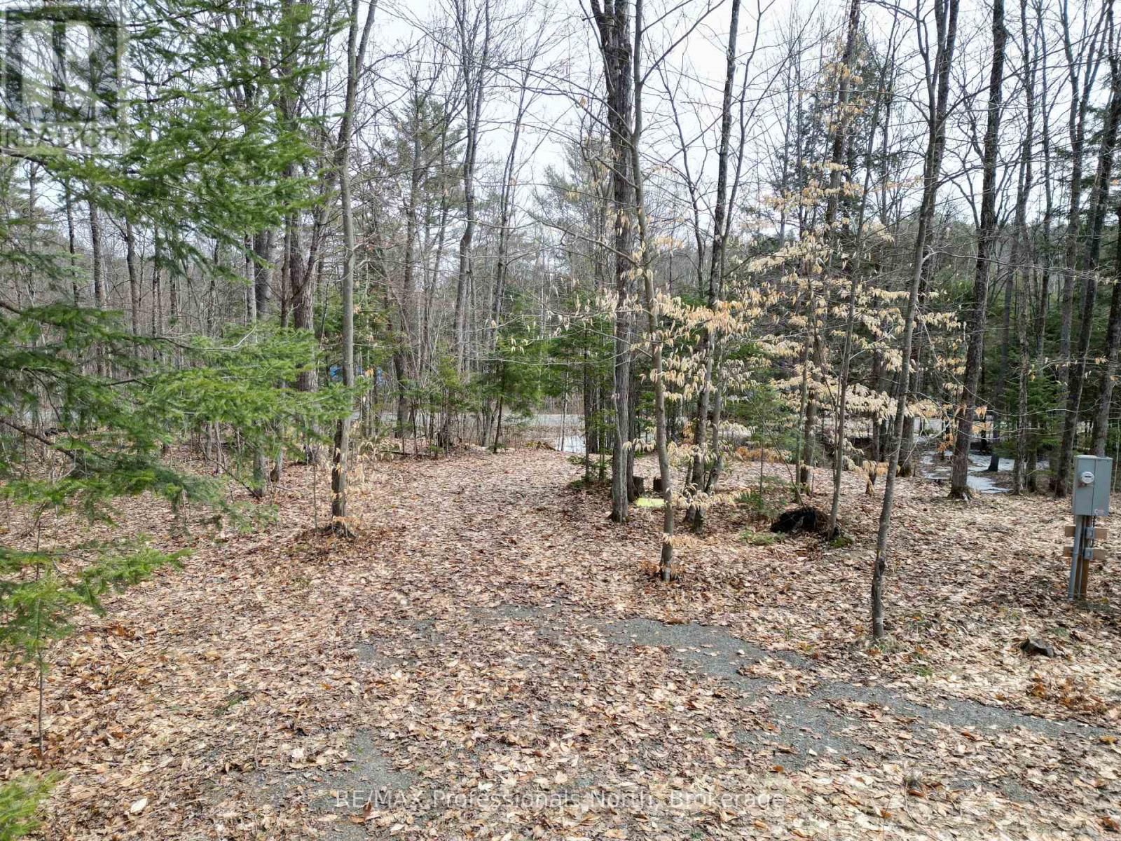 1231 BIG HAWK LAKE ROAD Image 9