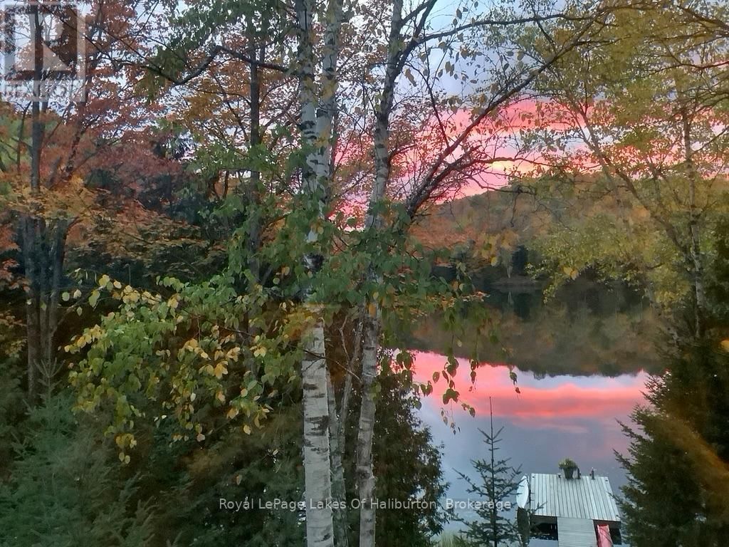 1128 ARGILLITE ROAD Image 41