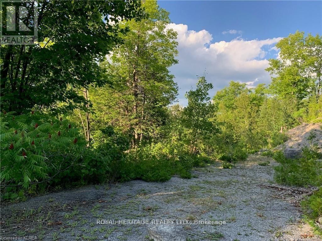 0 PT LT 32 COUNTY ROAD 49 ROAD Image 4