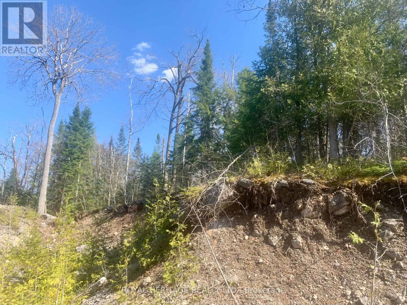 0 PT LT 32 COUNTY ROAD 49 ROAD Image 7