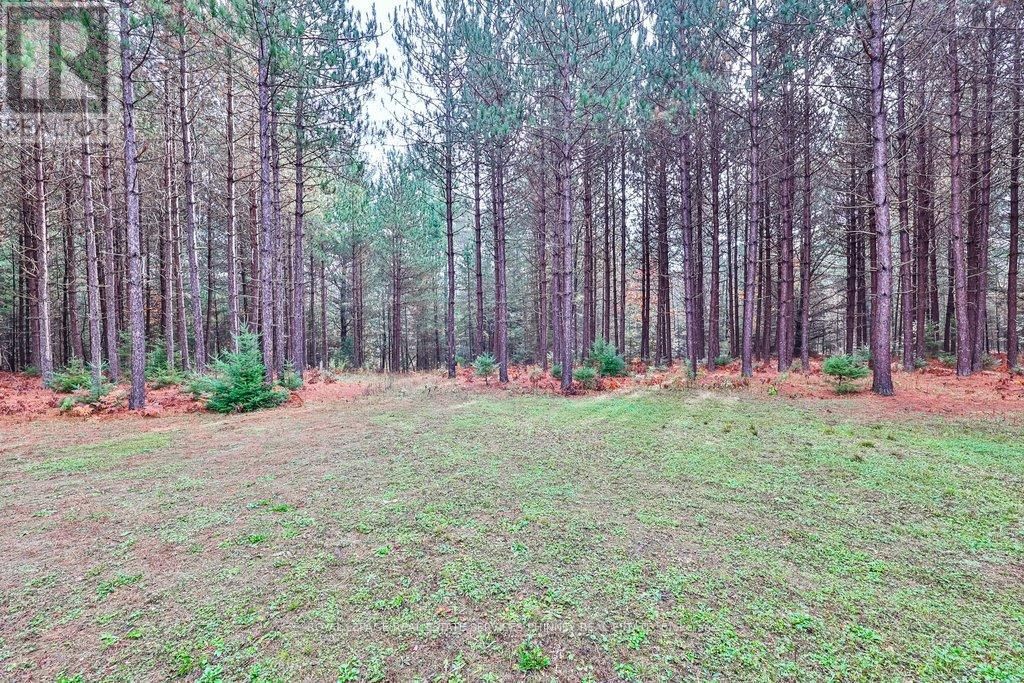 72 HARMONIOUS DRIVE Image 38