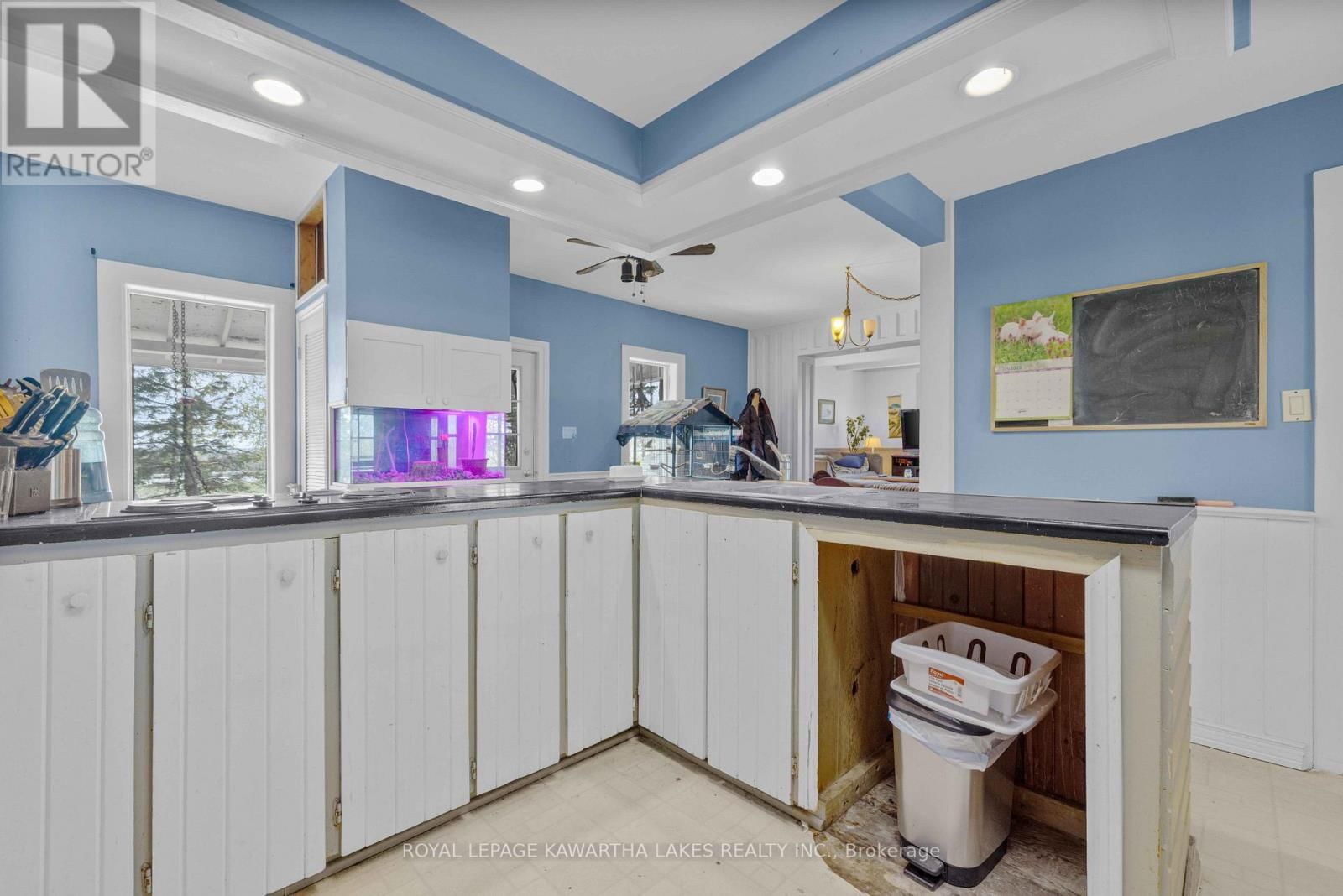 589 COUNTY ROAD 8 ROAD Image 5