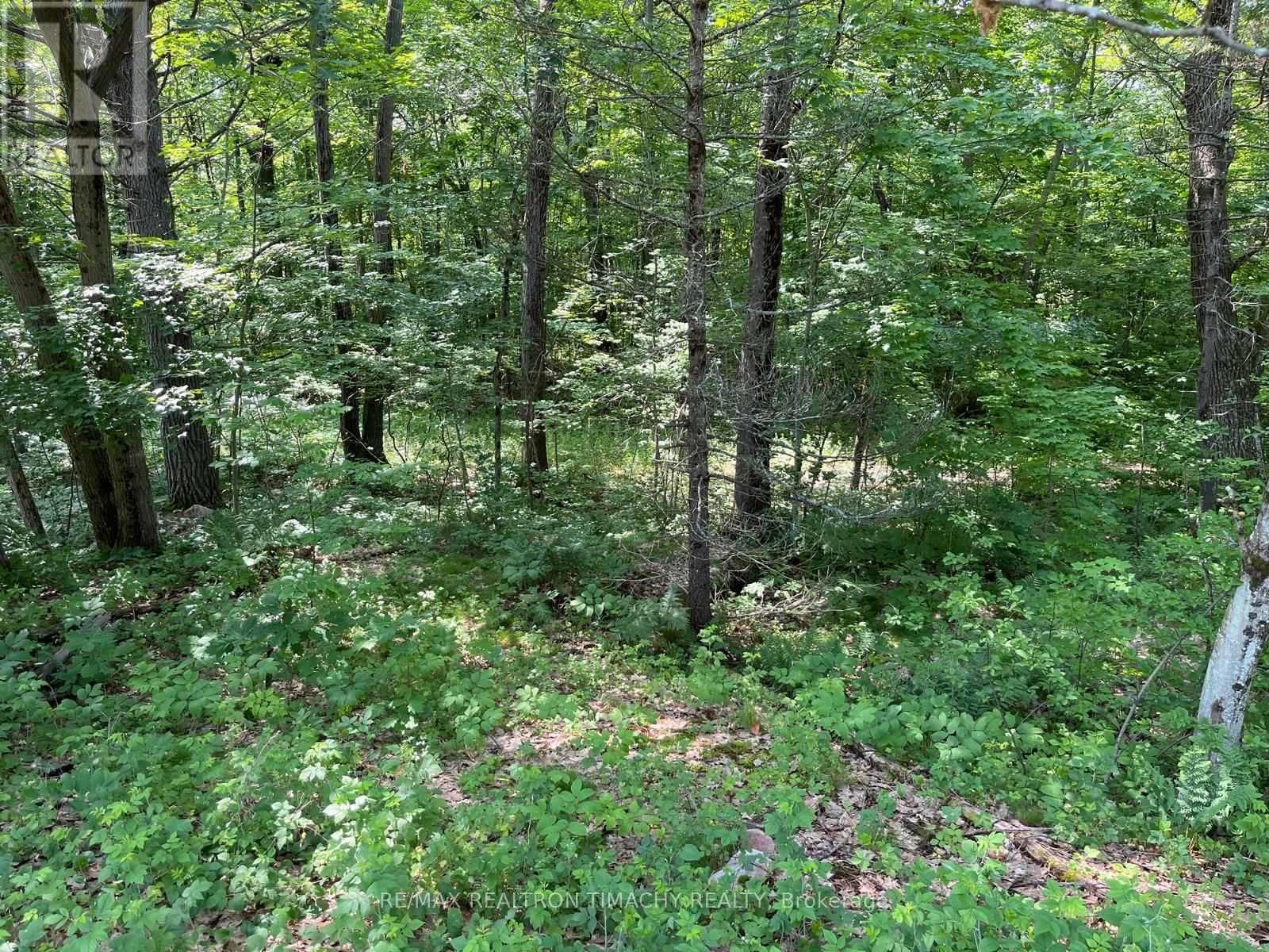 243 PRISQUE ROAD Image 11