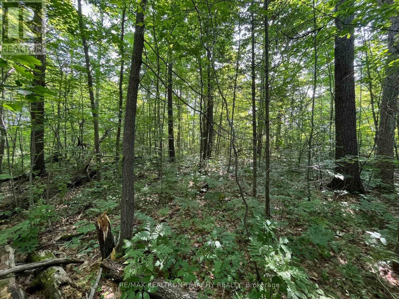 243 PRISQUE ROAD Image 12