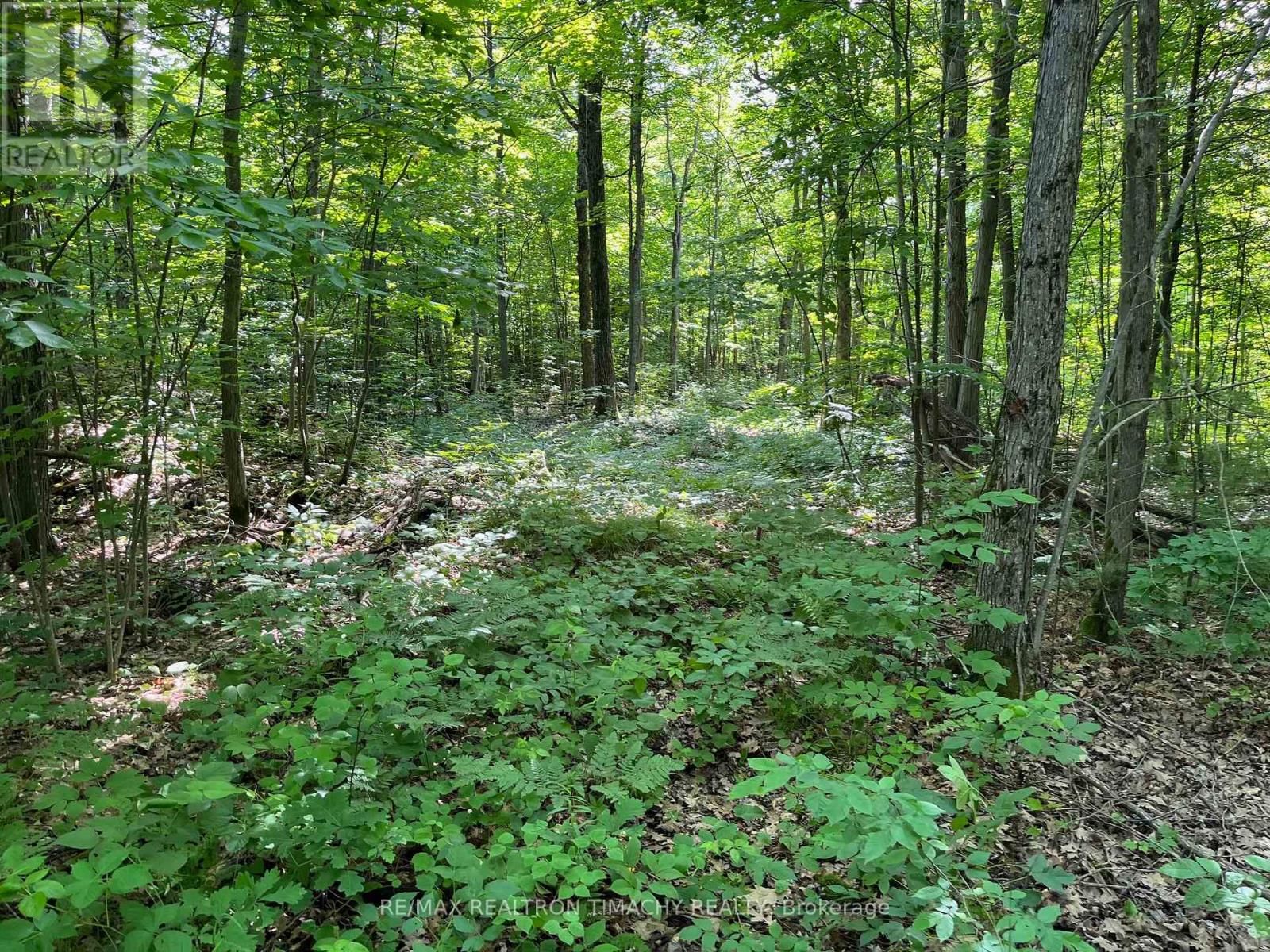 243 PRISQUE ROAD Image 20