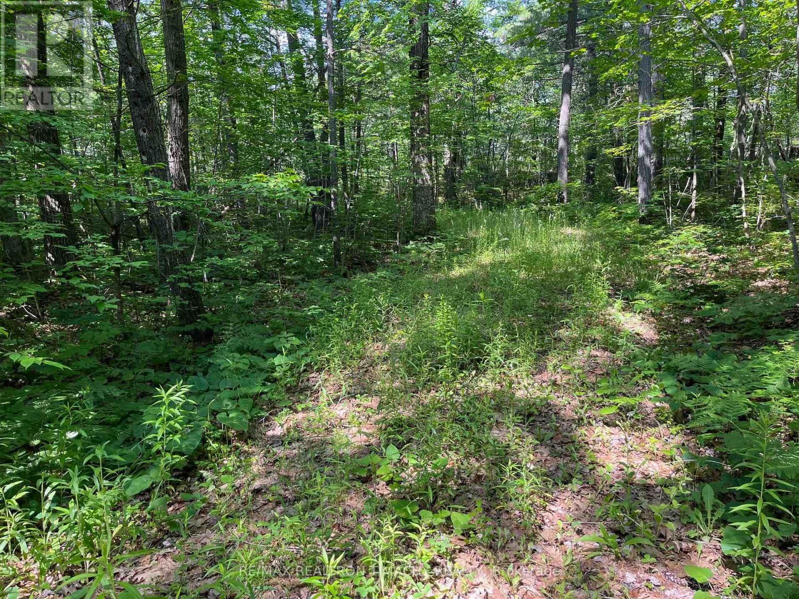 243 PRISQUE ROAD Image 21