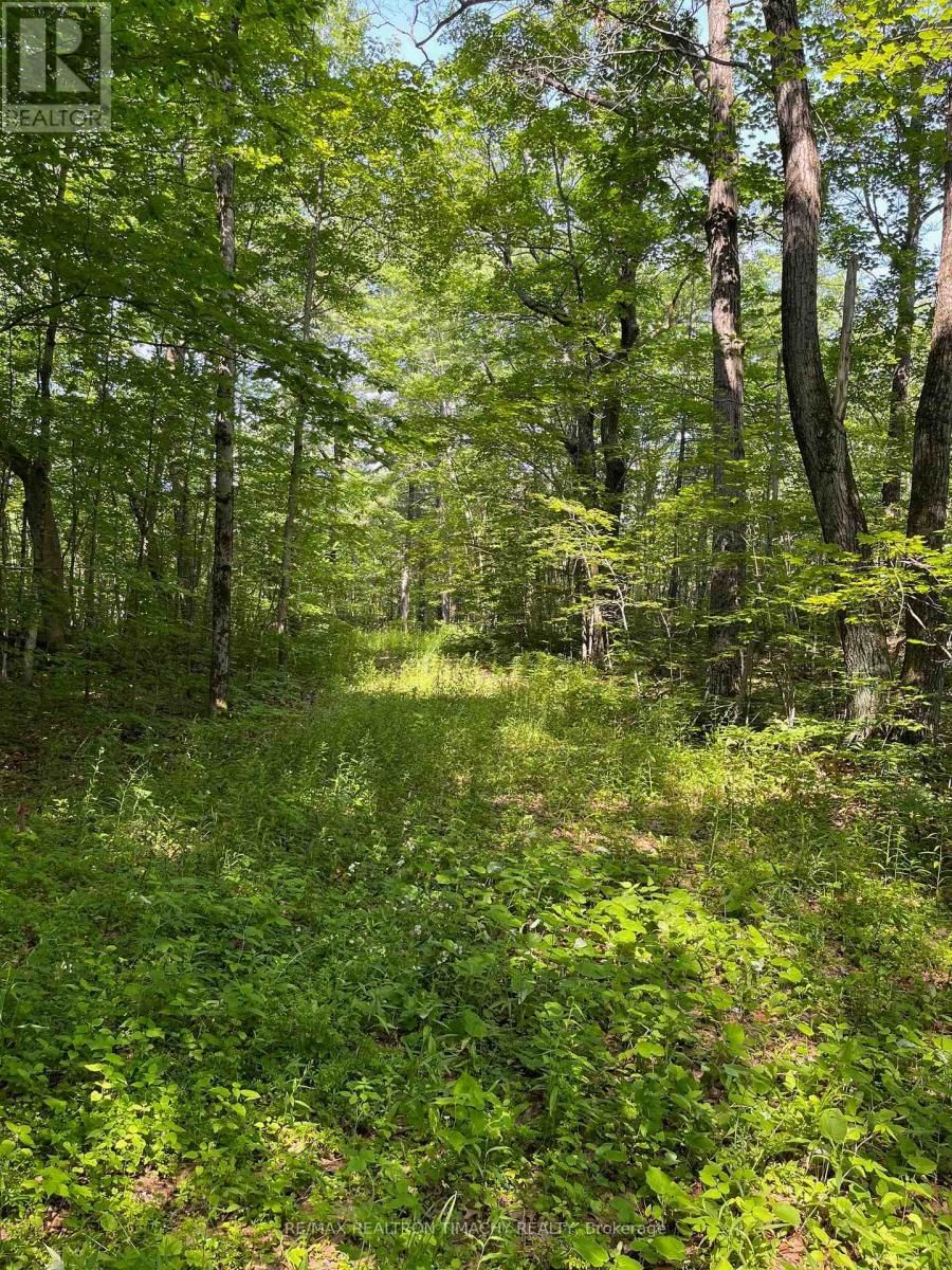 243 PRISQUE ROAD Image 26