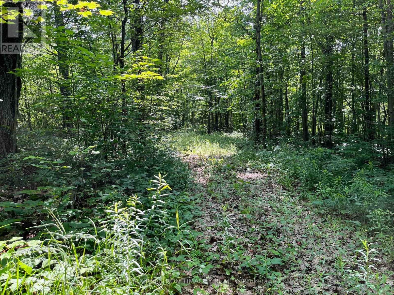 243 PRISQUE ROAD Image 27