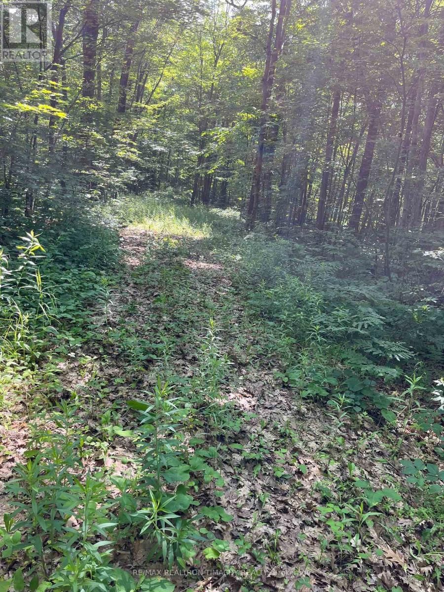 243 PRISQUE ROAD Image 28