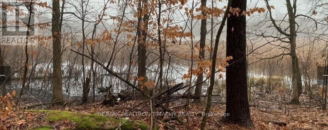 243 PRISQUE ROAD Image 32