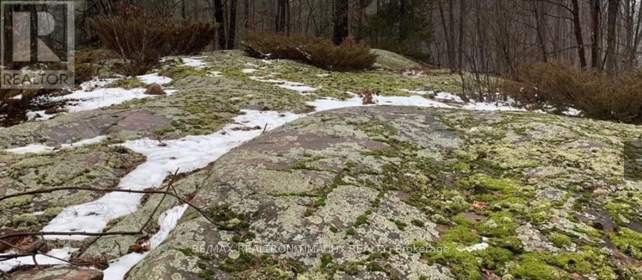 243 PRISQUE ROAD Image 35