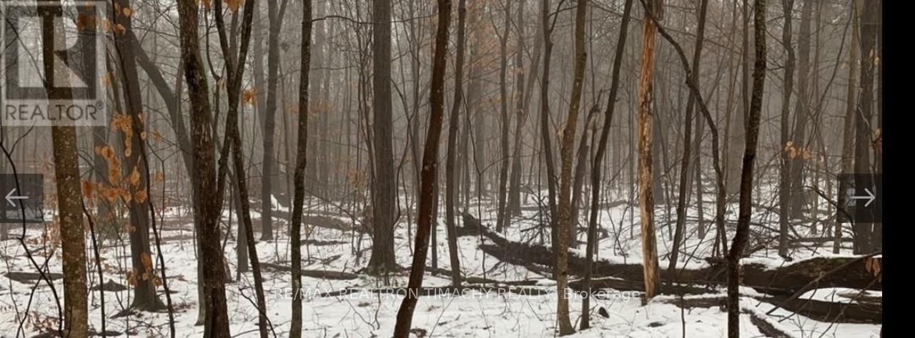 243 PRISQUE ROAD Image 36