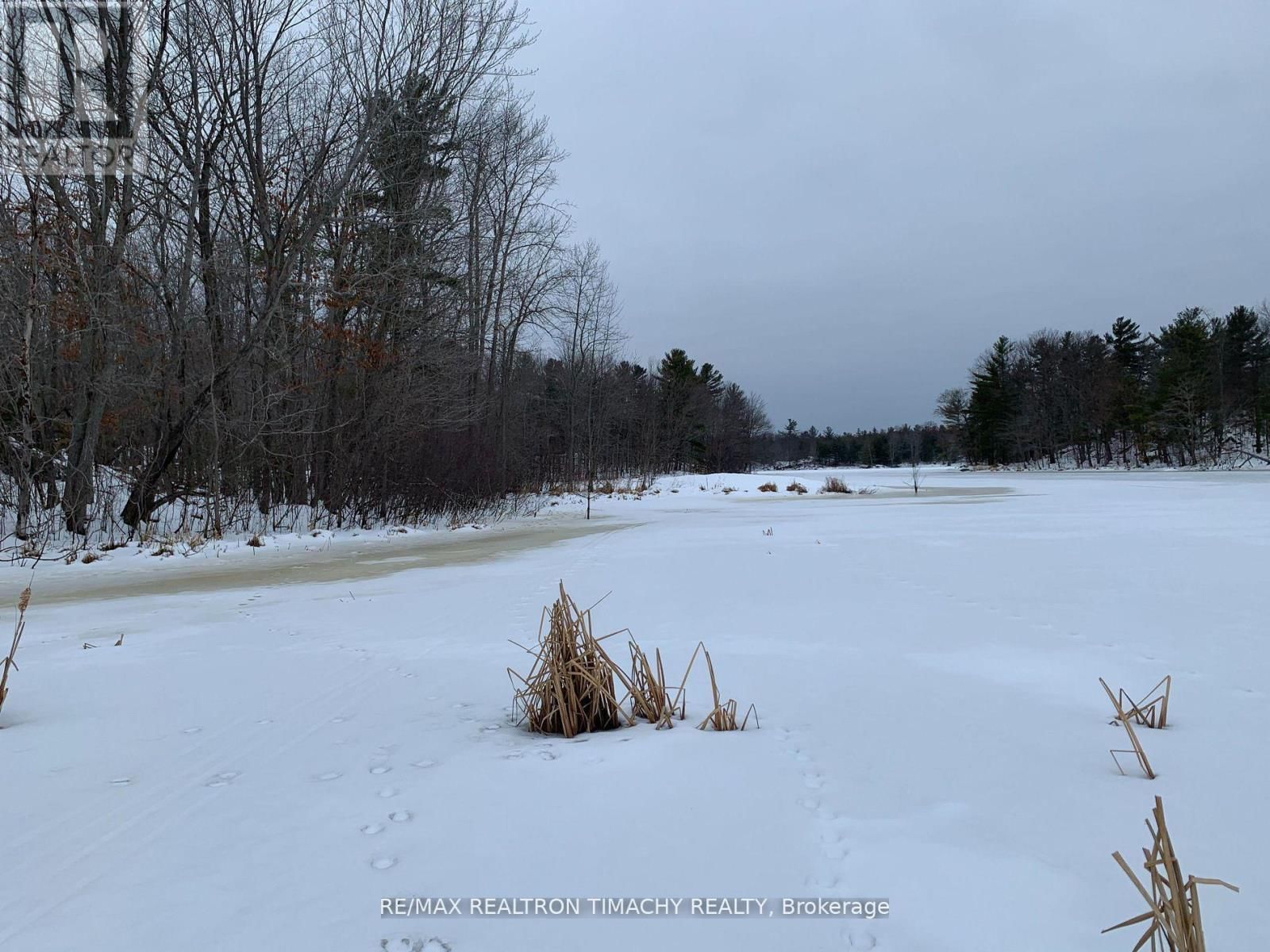 243 PRISQUE ROAD Image 37