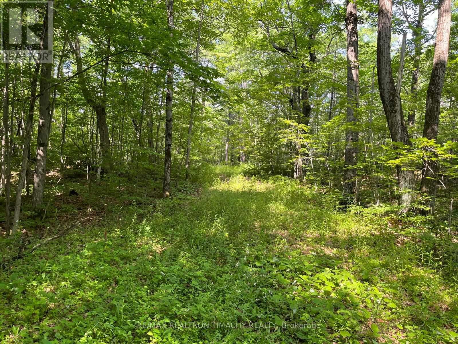 243 PRISQUE ROAD Image 6