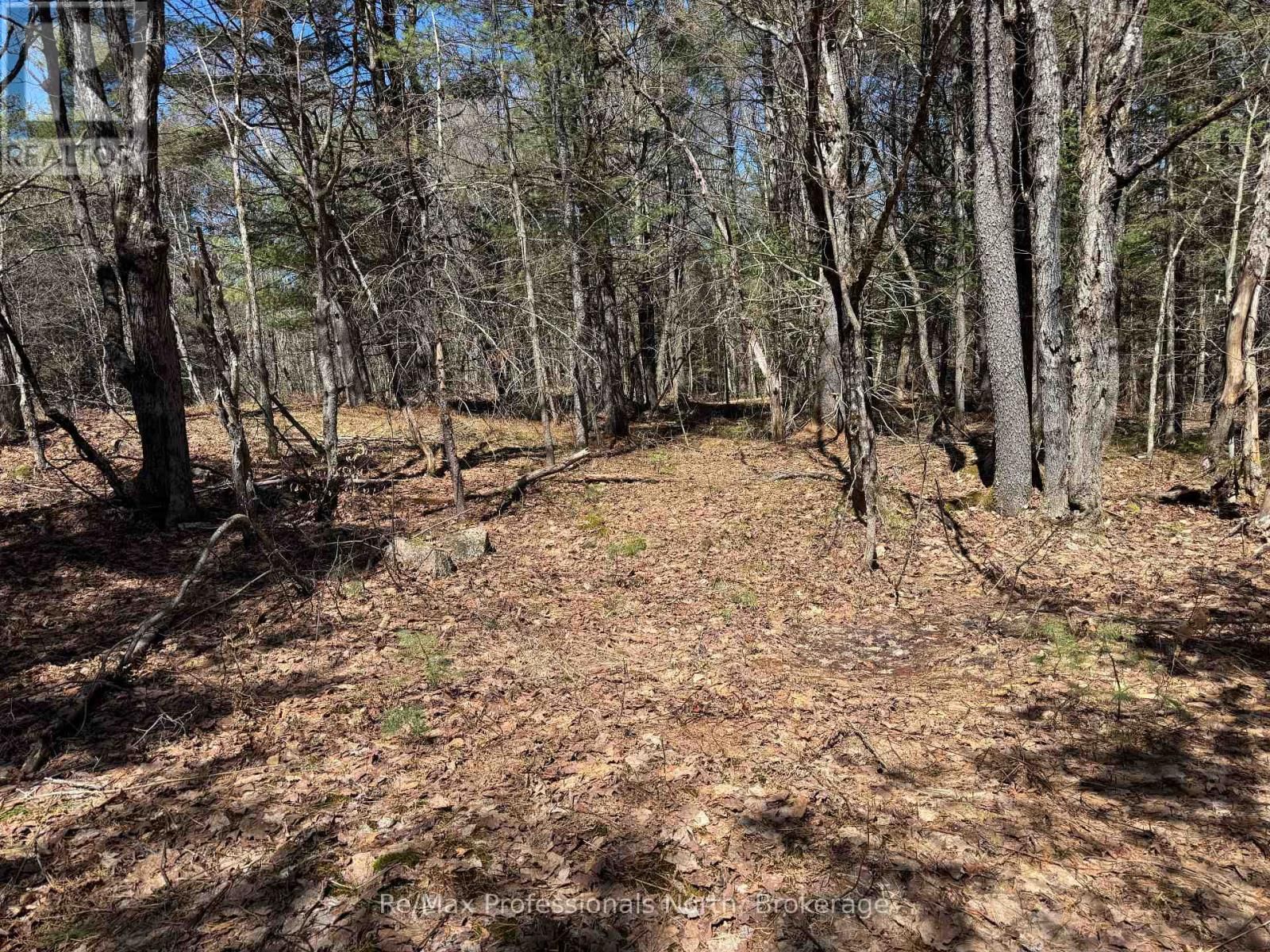 Lot 15 CON 2 DRAPER Image 1