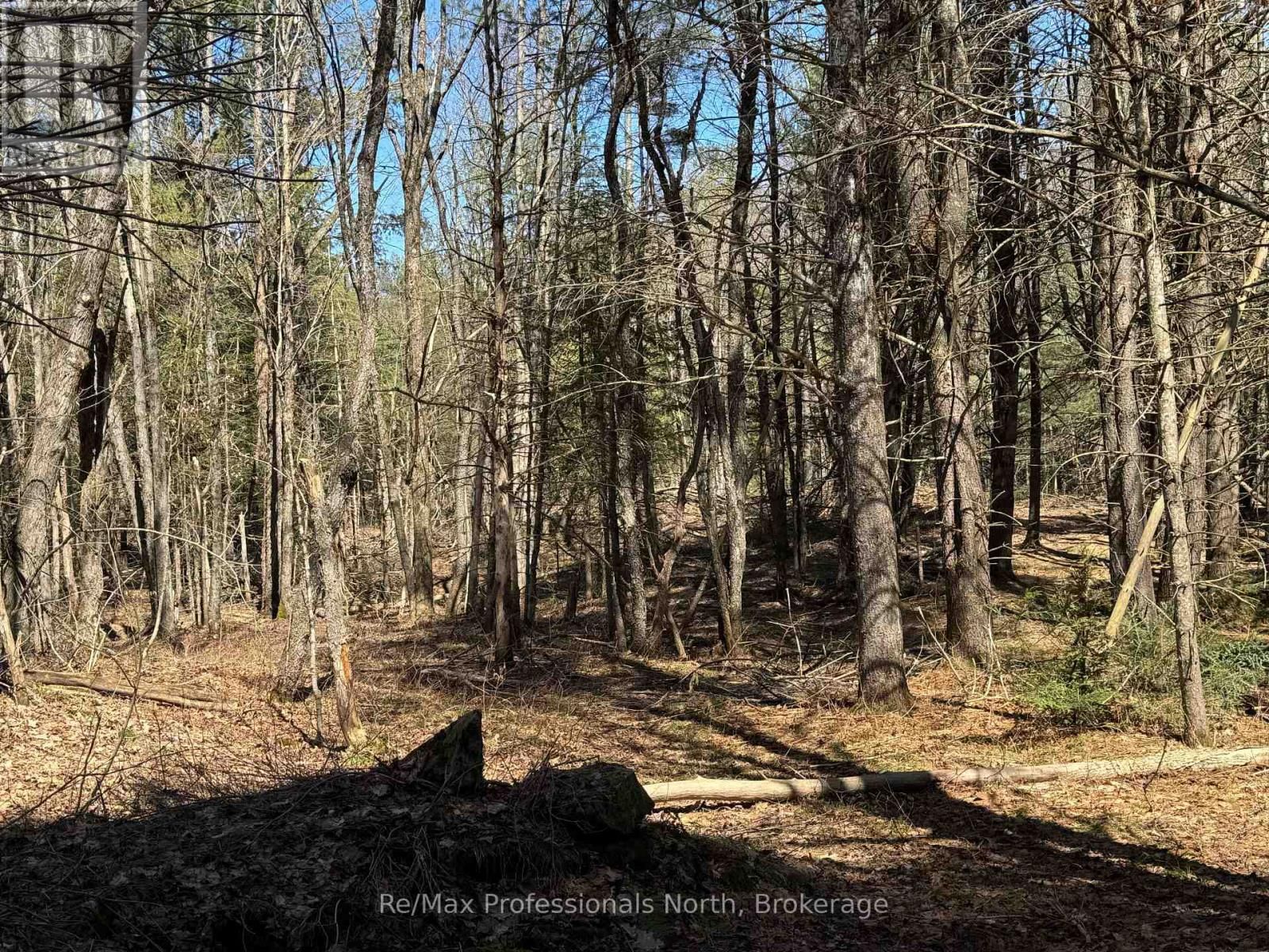 Lot 15 CON 2 DRAPER Image 3