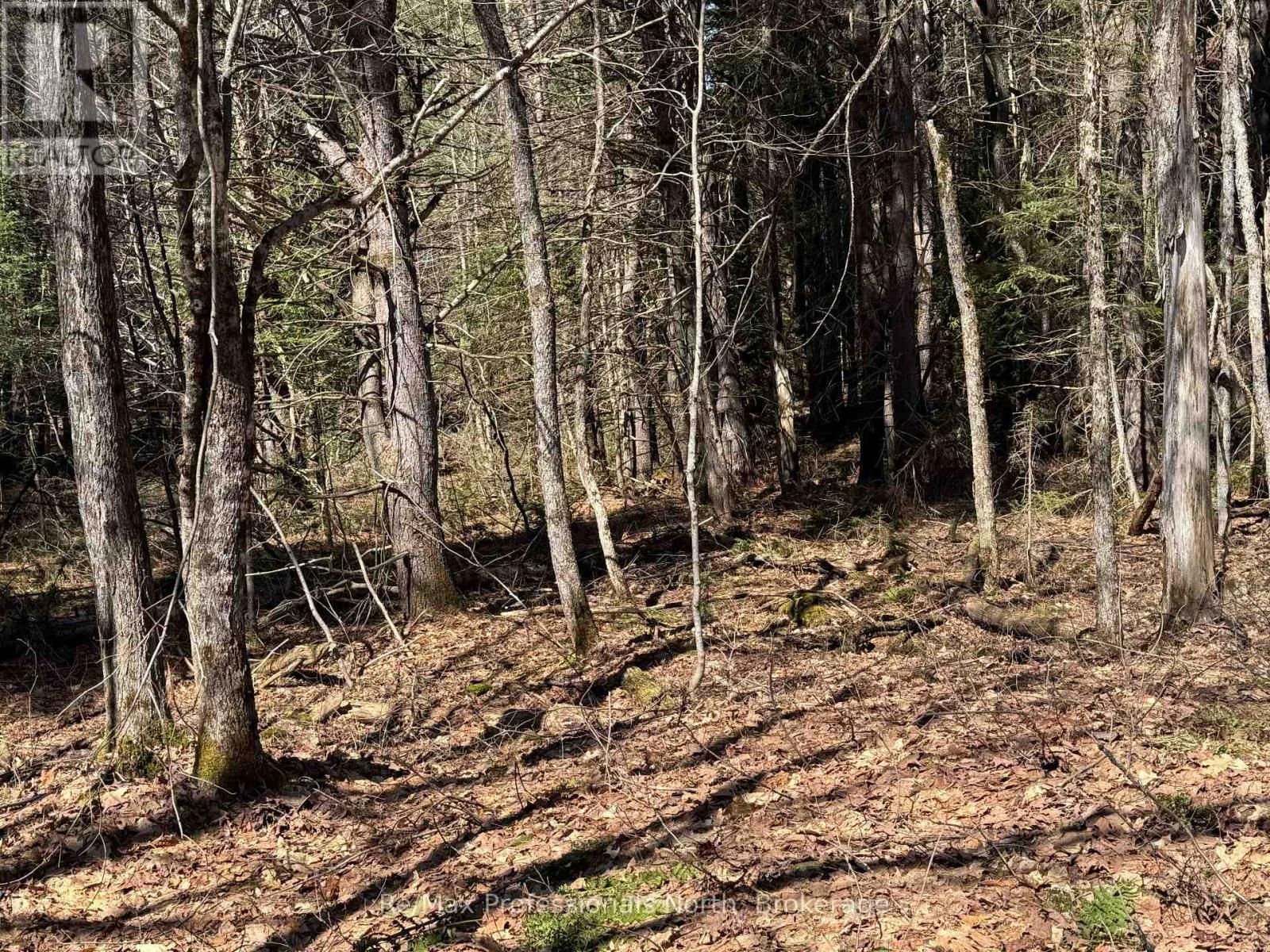 Lot 15 CON 2 DRAPER Image 4