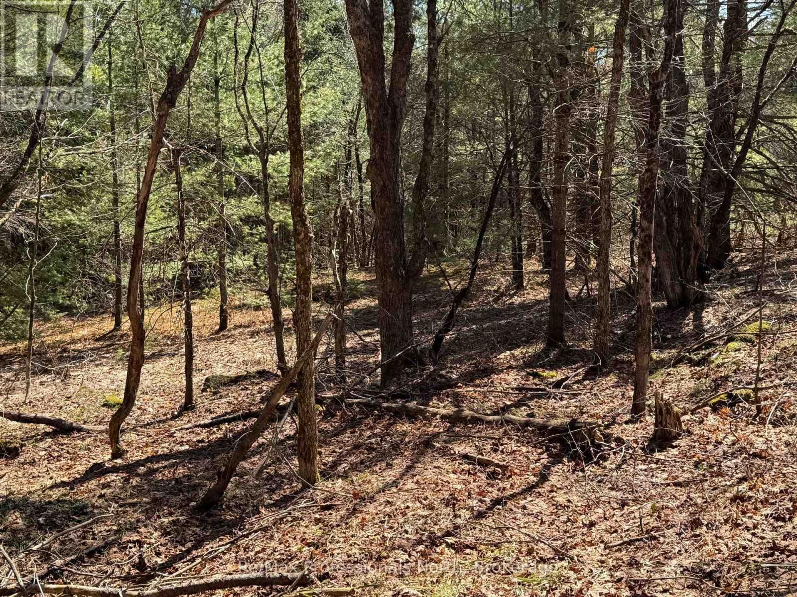 Lot 15 CON 2 DRAPER Image 5