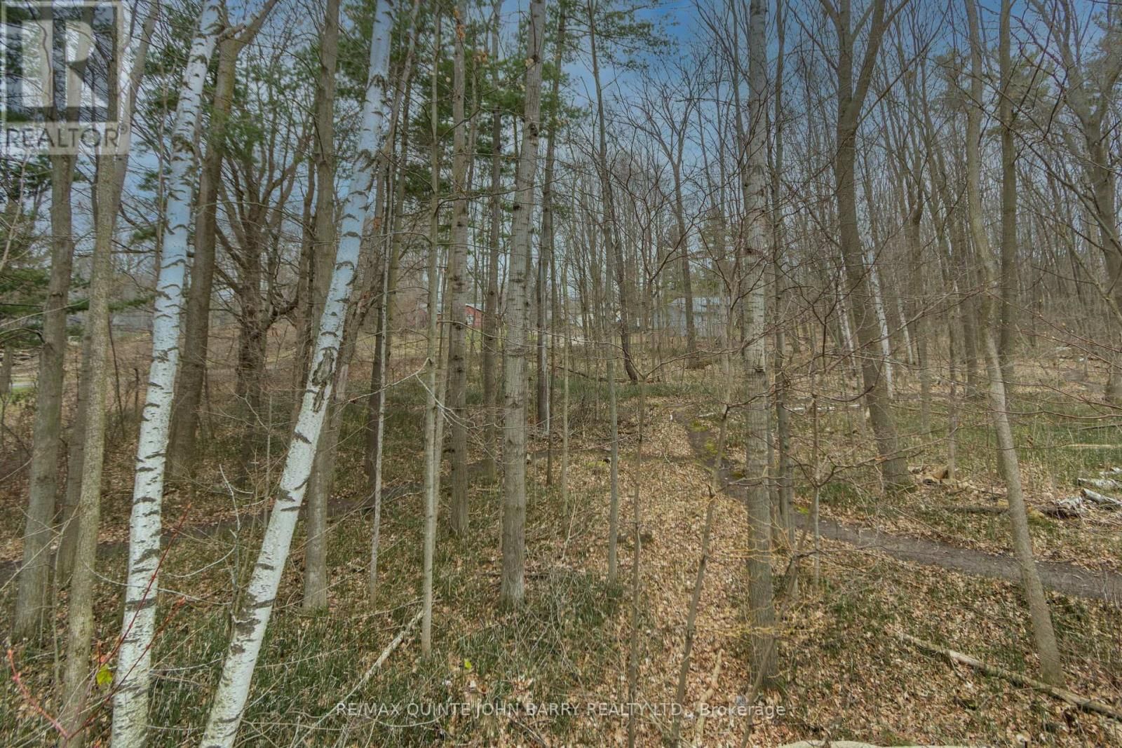 46 TWELVE O'CLOCK PT ROAD Image 41