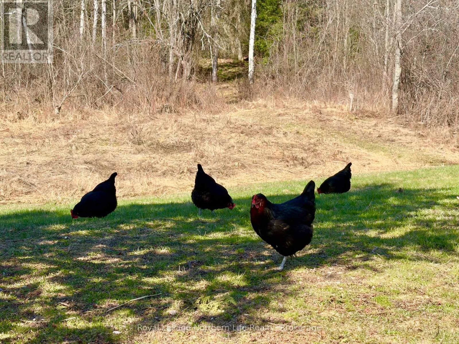 799 MAPLE HILL ROAD Image 26