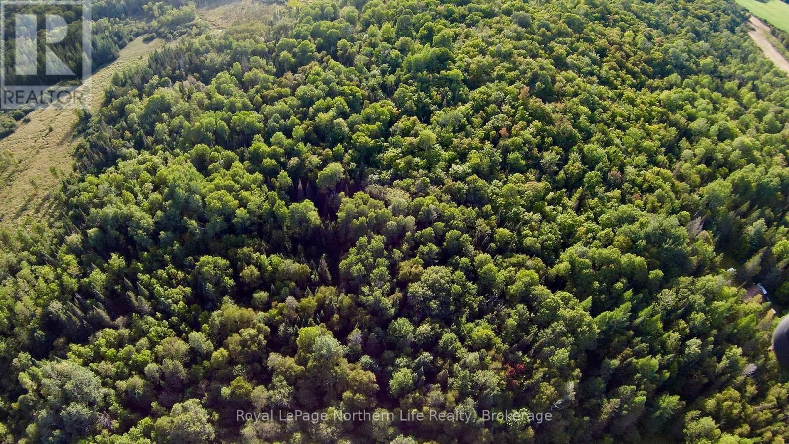 799 MAPLE HILL ROAD Image 37