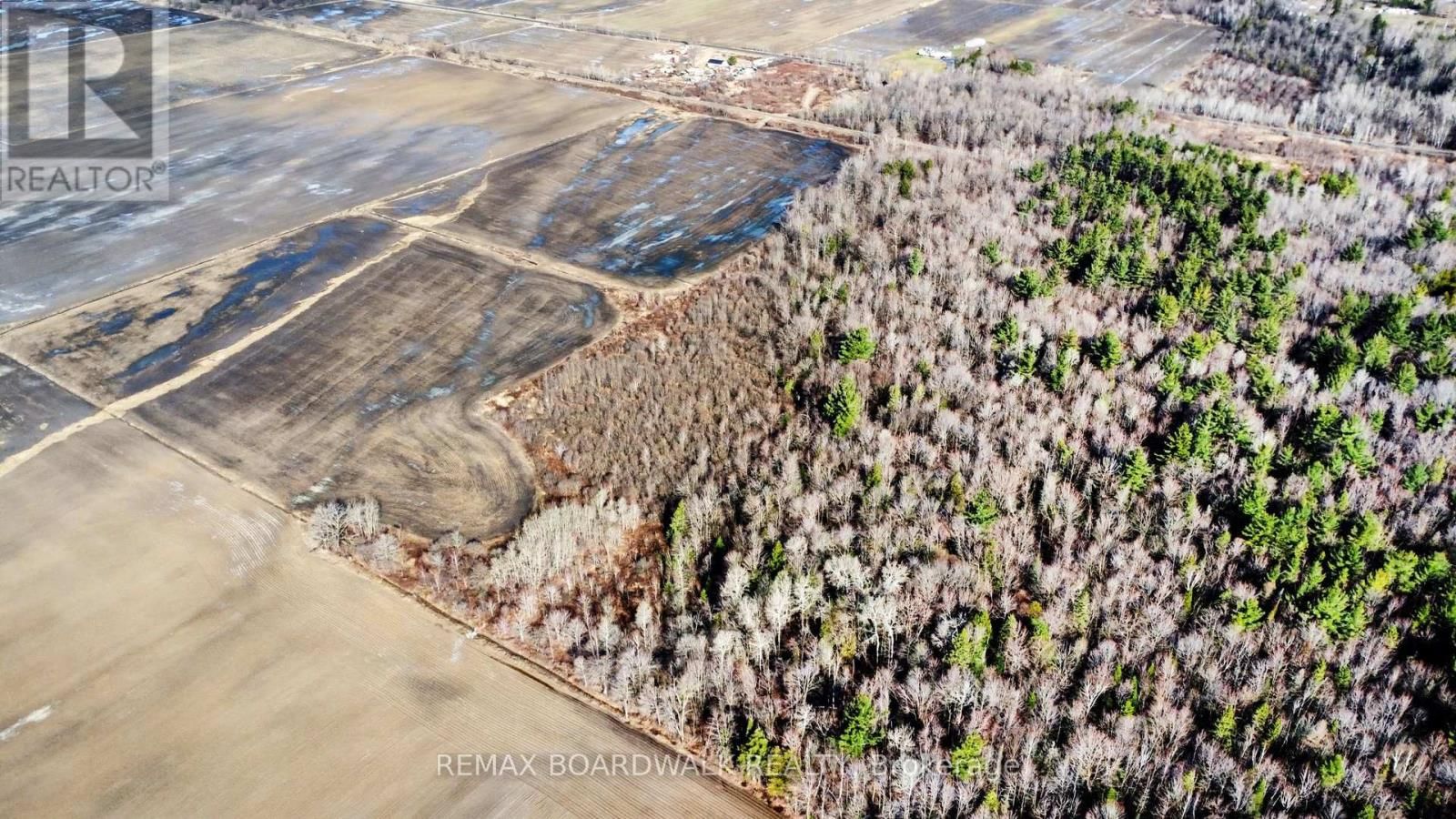 2364 CONCESSION 9 ROAD Image 12