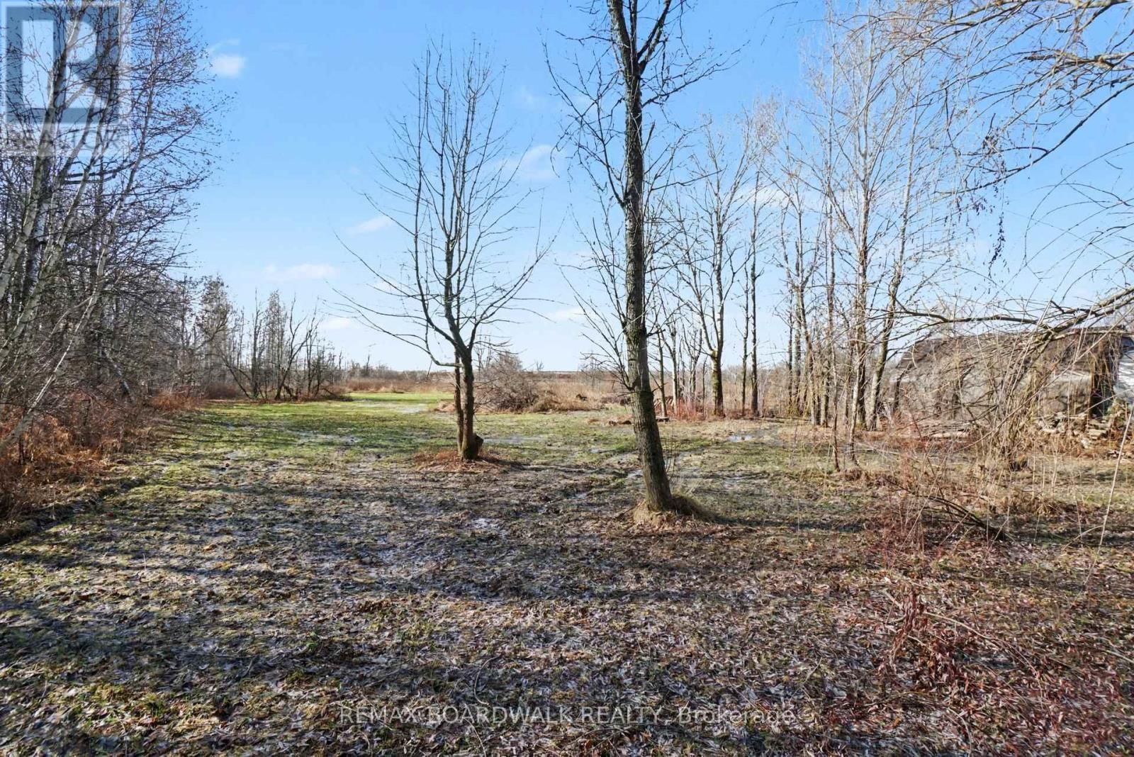 2364 CONCESSION 9 ROAD Image 3