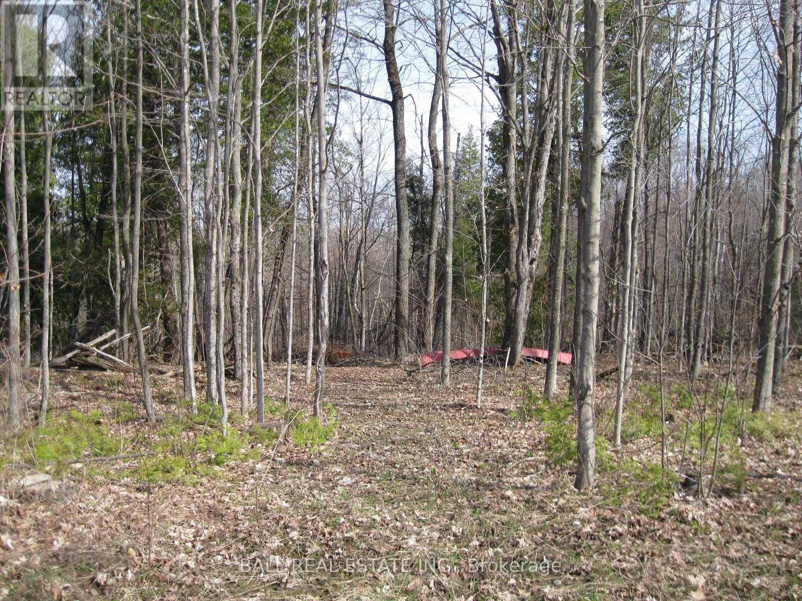 81 SILVER HEIGHTS DRIVE Image 17