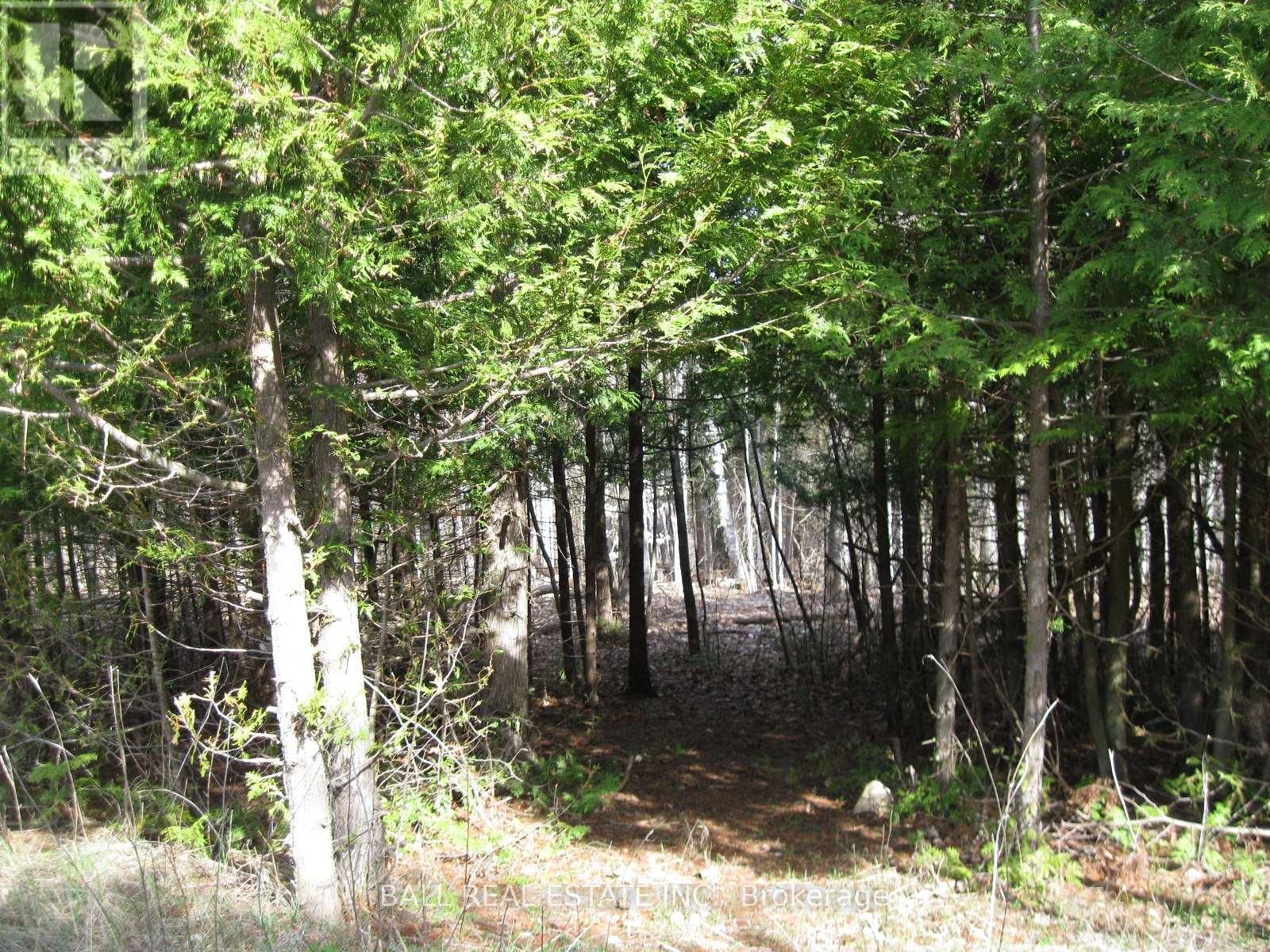 81 SILVER HEIGHTS DRIVE Image 18