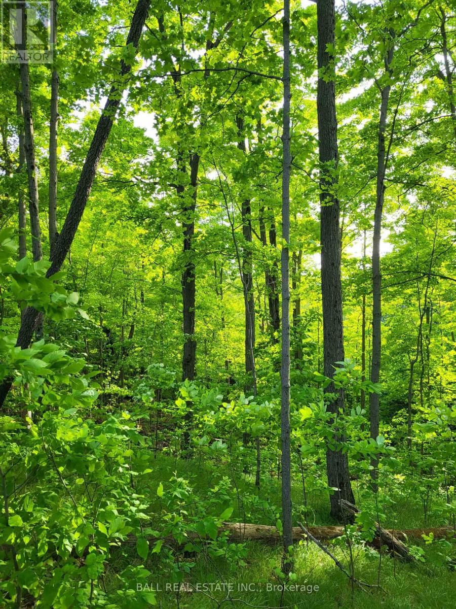 81 SILVER HEIGHTS DRIVE Image 4