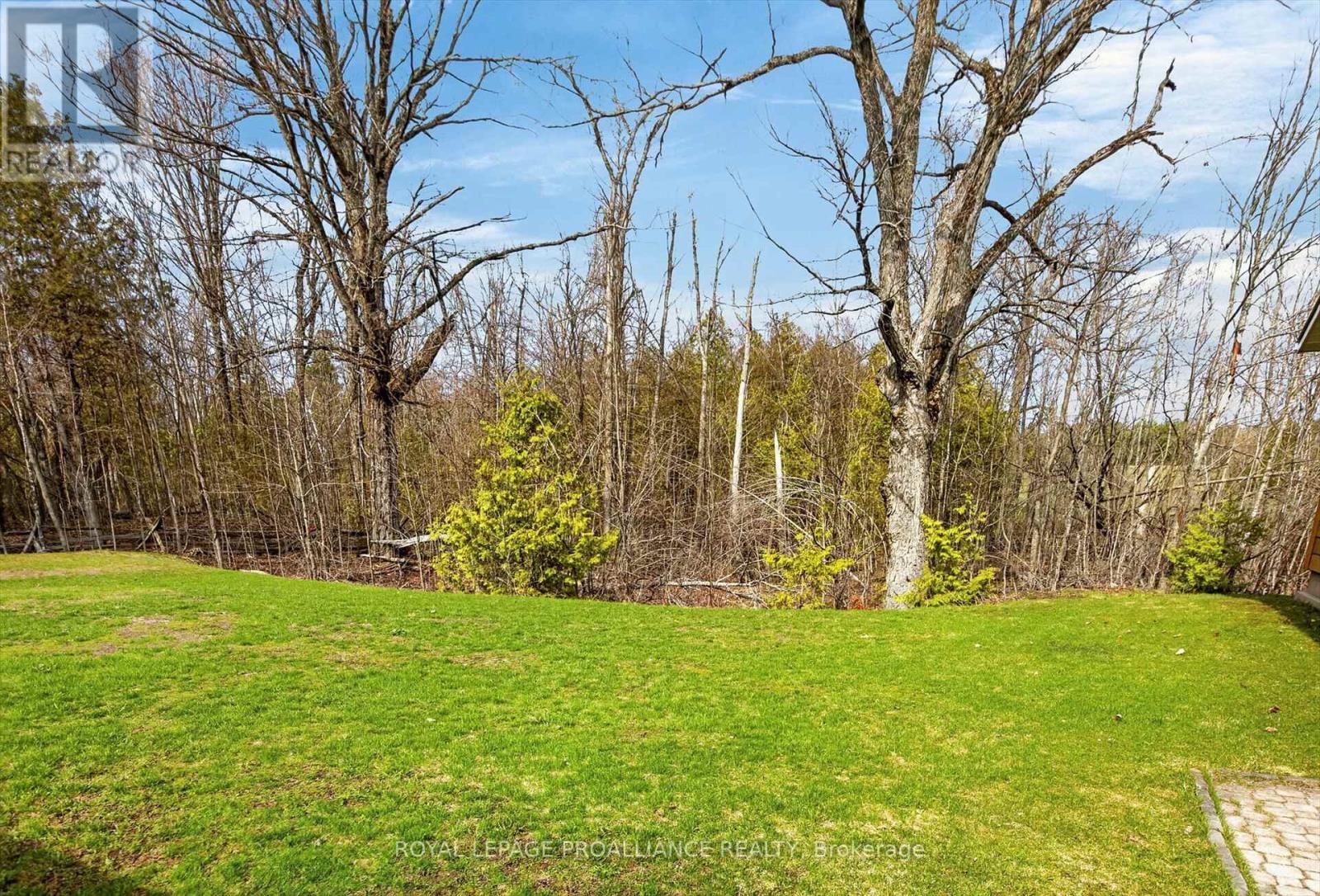 244 FLYNN'S ROAD Image 41