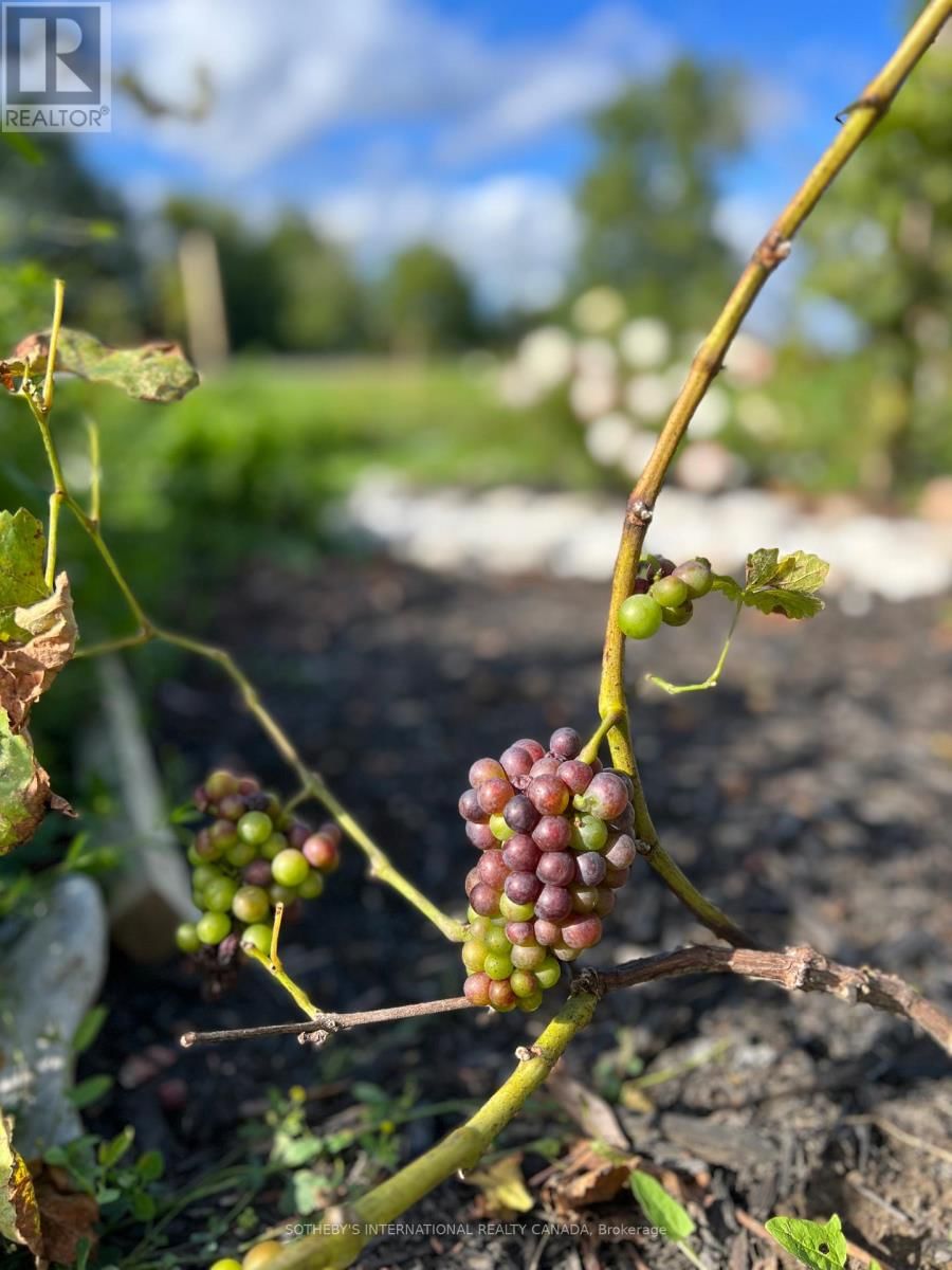 3050 COUNTY ROAD 7 Image 33